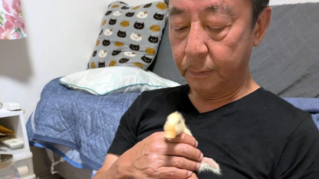 家族