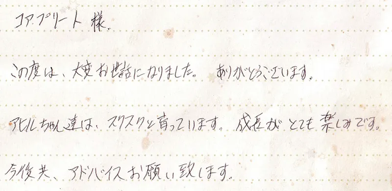 お手紙