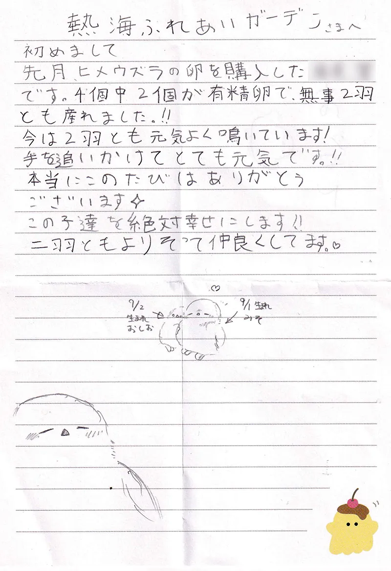 お手紙