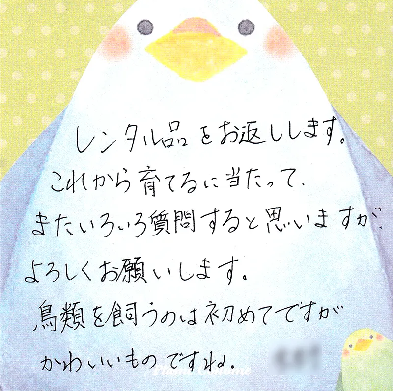 お手紙