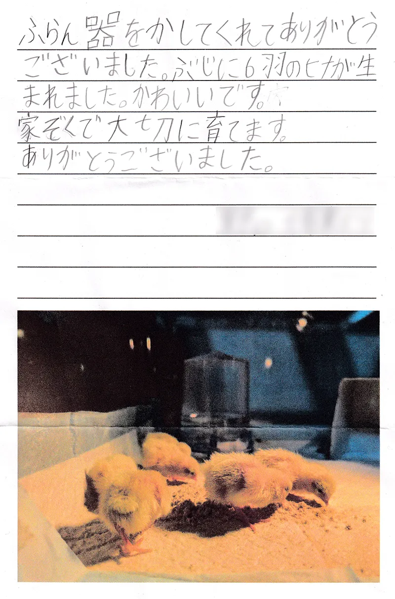 お手紙